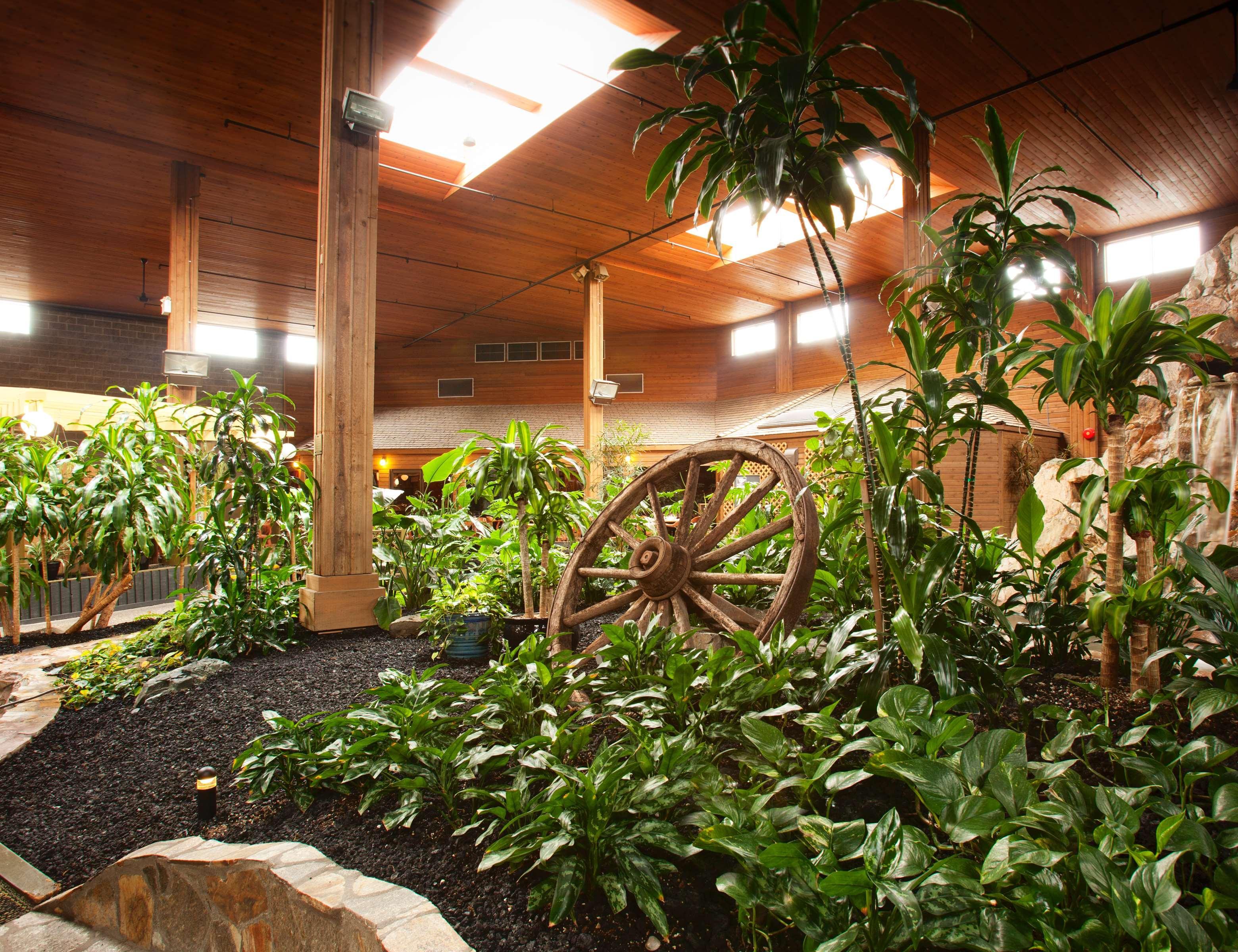 Best Western Premier Ashton Suites - Willowbrook Χιούστον Εξωτερικό φωτογραφία